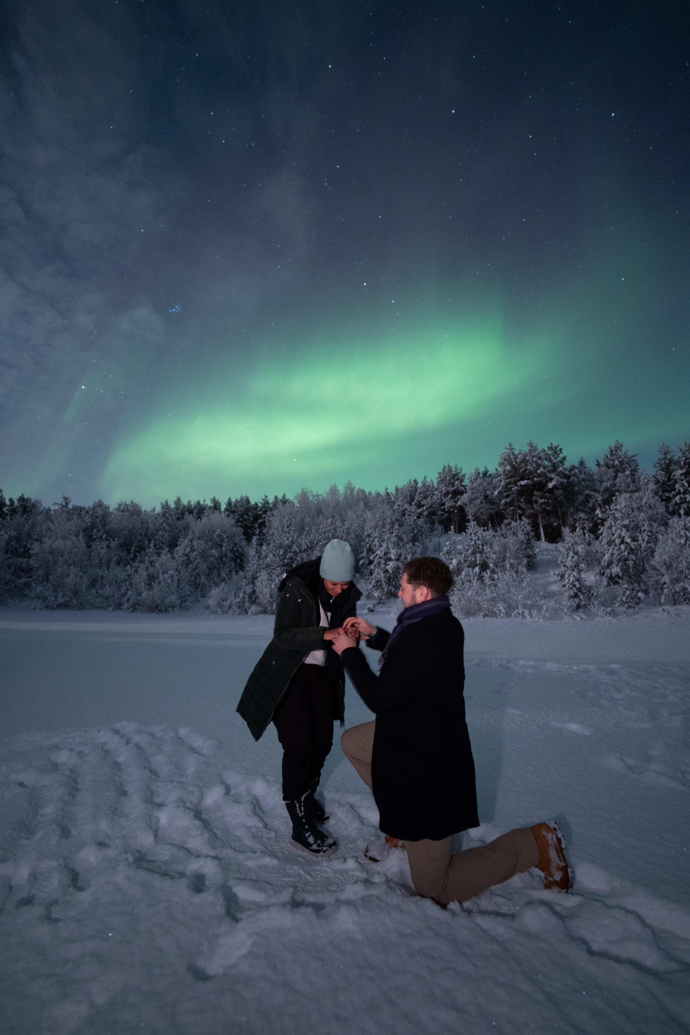 The proposal under the Northern Lights
